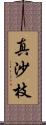 真沙枝 Scroll