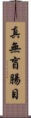 真無盲腸目 Scroll