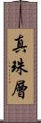 真珠層 Scroll