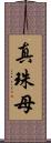 真珠母 Scroll