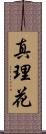 真理花 Scroll