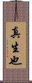 真生也 Scroll