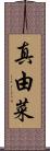 真由菜 Scroll