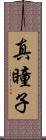 真瞳子 Scroll