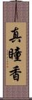 真瞳香 Scroll