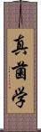 真菌学 Scroll