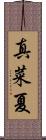 真菜夏 Scroll