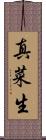 真菜生 Scroll