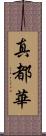 真都華 Scroll