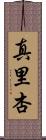 真里杏 Scroll