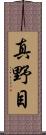 真野目 Scroll