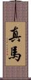真馬 Scroll