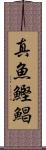 真魚鰹 Scroll