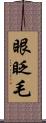 眼眨毛 Scroll