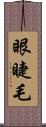眼睫毛 Scroll