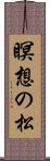 瞑想の松 Scroll