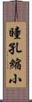 瞳孔縮小 Scroll