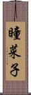 瞳菜子 Scroll