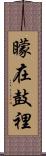 矇在鼓裡 Scroll