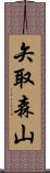 矢取森山 Scroll