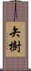 矢樹 Scroll