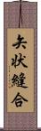 矢状縫合 Scroll