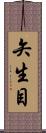矢生目 Scroll