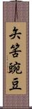矢筈豌豆 Scroll
