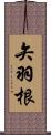矢羽根 Scroll