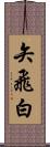 矢飛白 Scroll