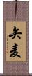 矢麦 Scroll