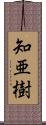 知亜樹 Scroll