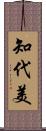 知代美 Scroll