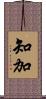 知加 Scroll