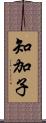 知加子 Scroll