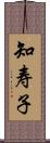 知寿子 Scroll