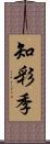 知彩季 Scroll