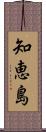 知恵島 Scroll