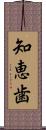 知恵歯 Scroll