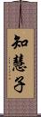 知慧子 Scroll