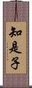 知是子 Scroll