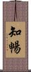 知暢 Scroll