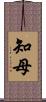 知母 Scroll