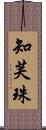 知芙珠 Scroll