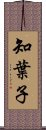 知葉子 Scroll