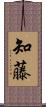 知藤 Scroll