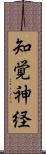 知覚神経 Scroll