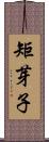 矩芽子 Scroll