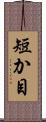 短か目 Scroll