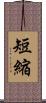 短縮 Scroll